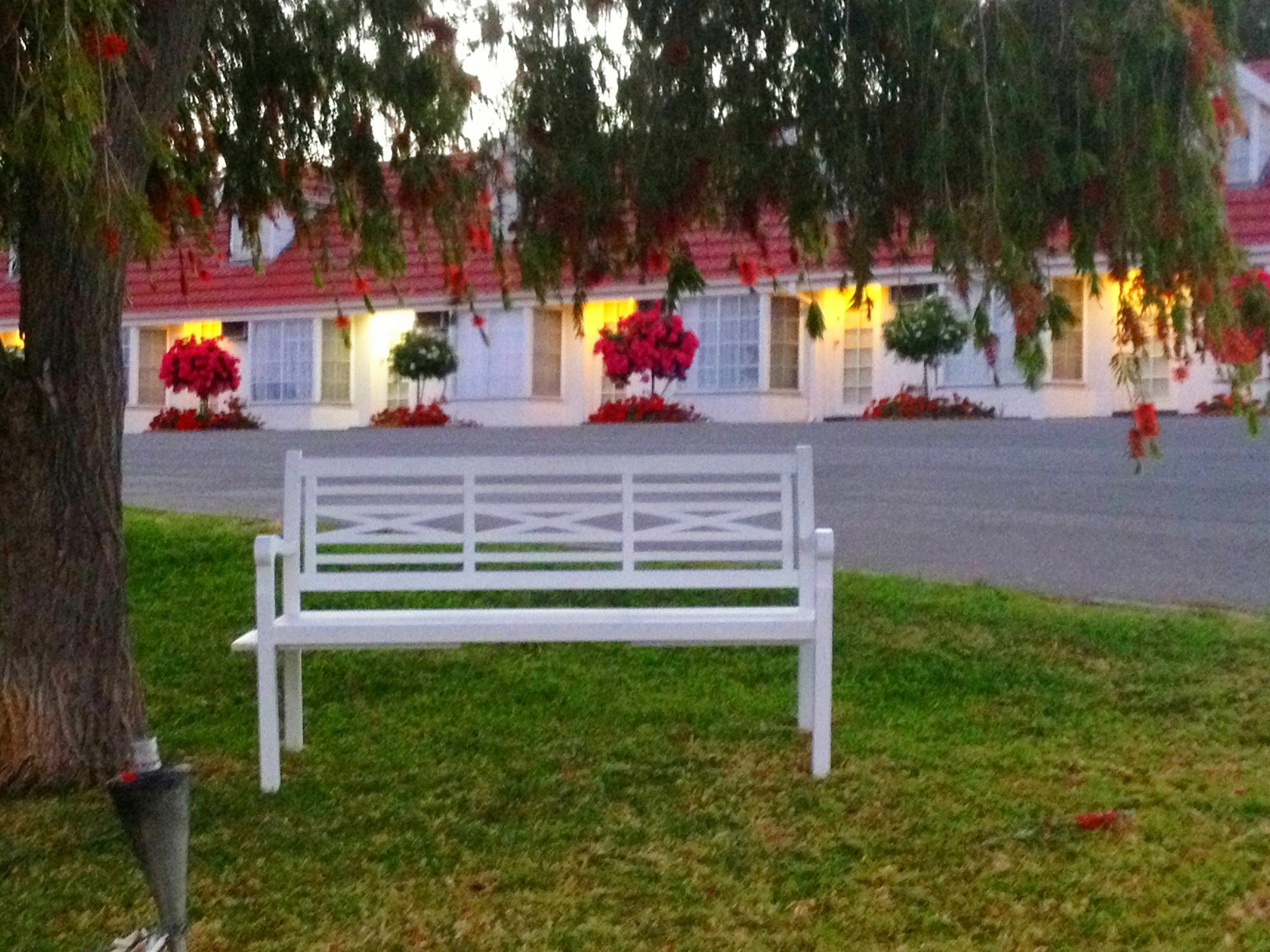 Clare Valley Motel Exterior foto